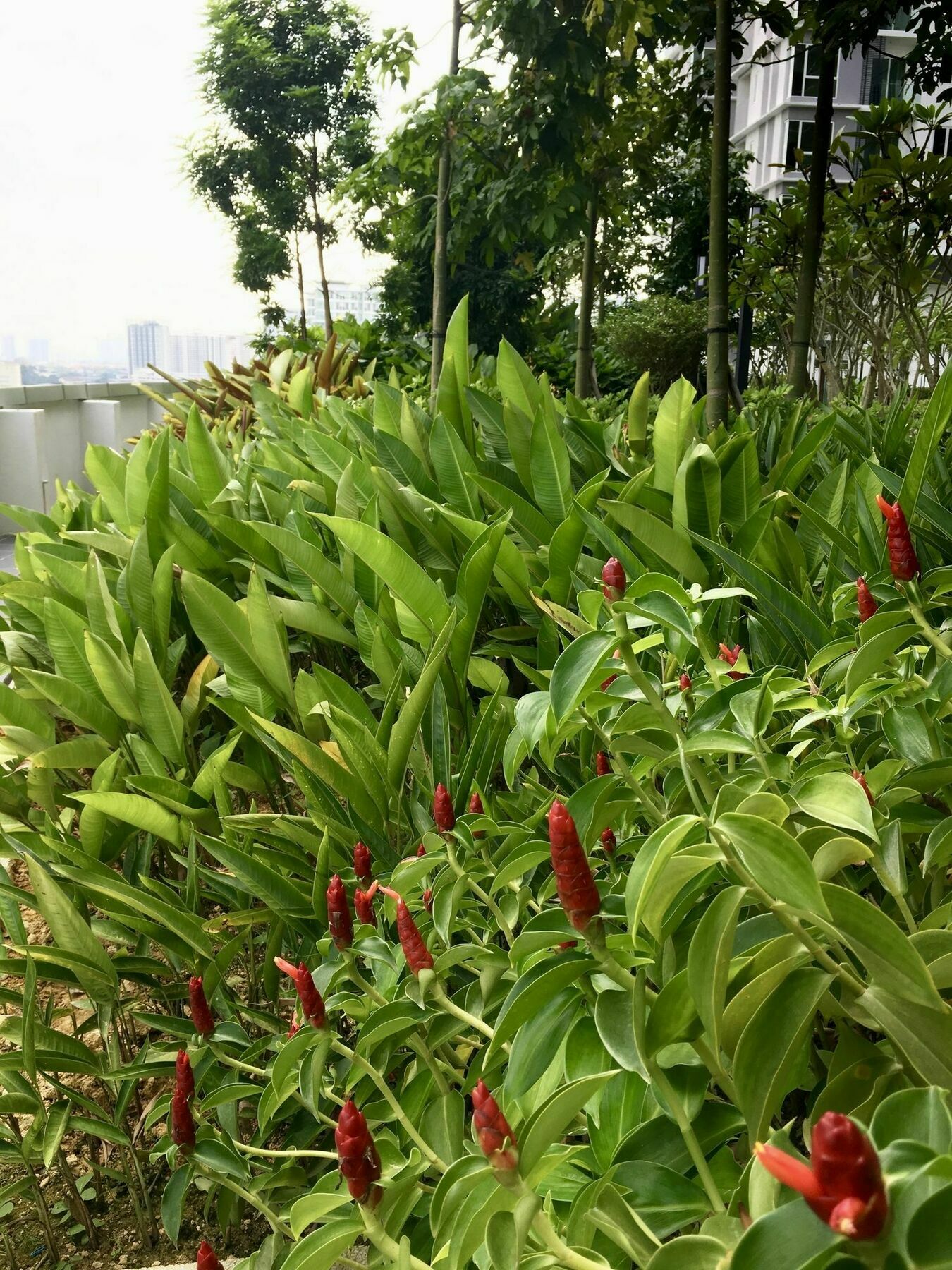 Southbank Residence Block B, Mid Valley @ De Space Kl 쿠알라룸푸르 외부 사진